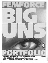 Femforce Big 'Uns Portfolio