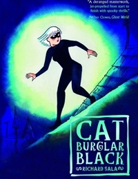 Cat Burglar Black Cat Burglar Black